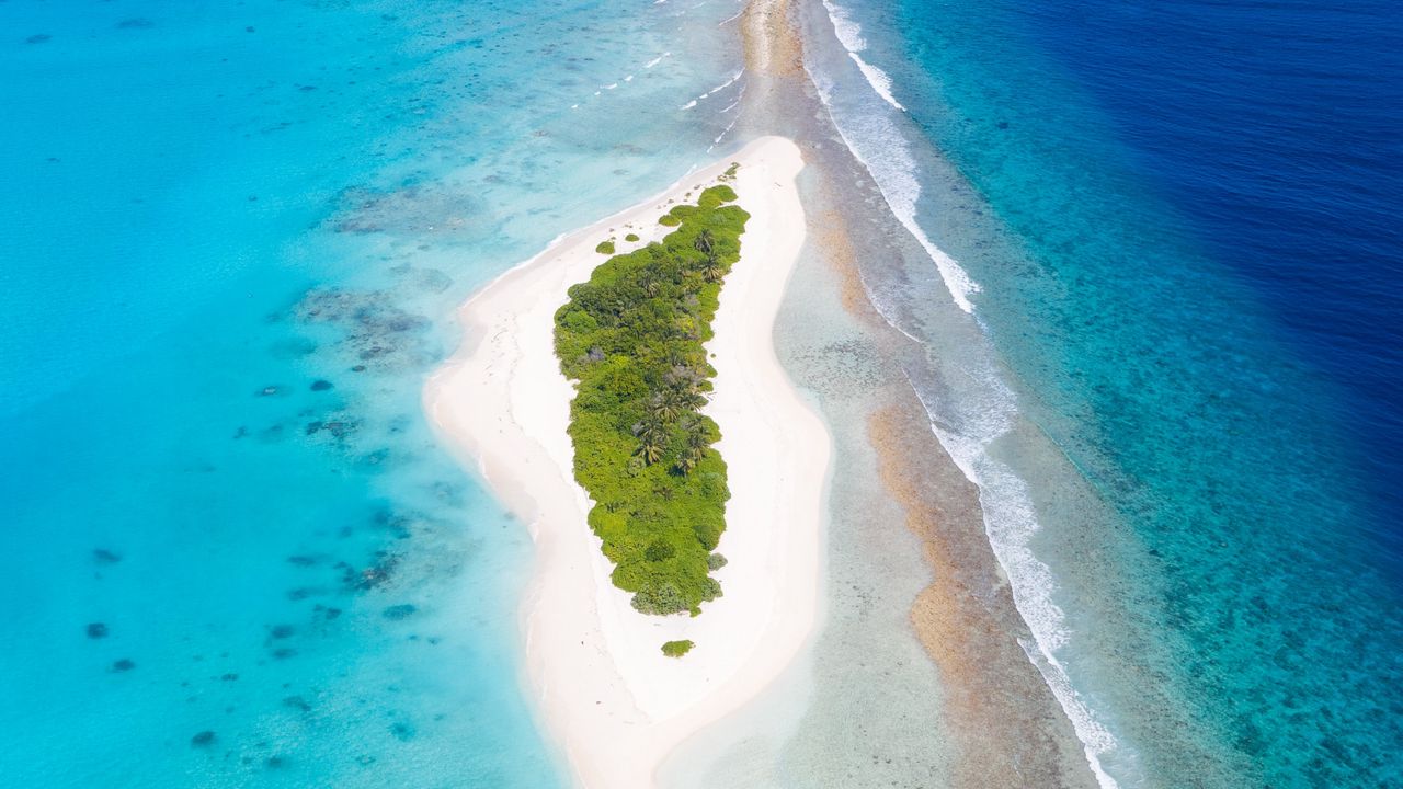 Wallpaper island, trees, beach, ocean