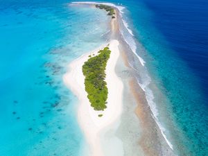 Preview wallpaper island, trees, beach, ocean