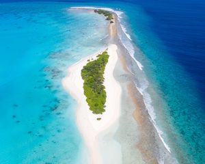 Preview wallpaper island, trees, beach, ocean