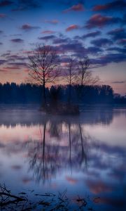 Preview wallpaper island, trees, branches, lake, reflection, forest, nature