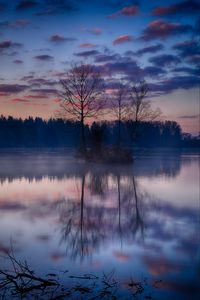 Preview wallpaper island, trees, branches, lake, reflection, forest, nature