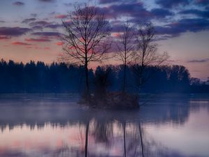 Preview wallpaper island, trees, branches, lake, reflection, forest, nature