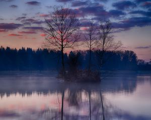 Preview wallpaper island, trees, branches, lake, reflection, forest, nature