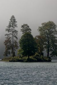 Preview wallpaper island, trees, fog, river, landscape