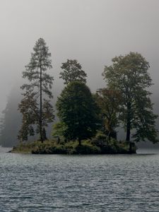 Preview wallpaper island, trees, fog, river, landscape