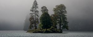 Preview wallpaper island, trees, fog, river, landscape