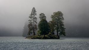 Preview wallpaper island, trees, fog, river, landscape