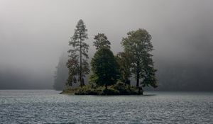 Preview wallpaper island, trees, fog, river, landscape