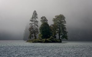 Preview wallpaper island, trees, fog, river, landscape