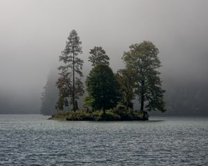 Preview wallpaper island, trees, fog, river, landscape