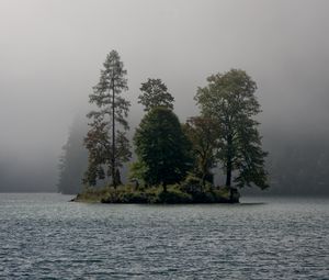 Preview wallpaper island, trees, fog, river, landscape