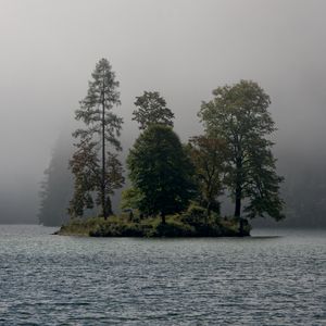 Preview wallpaper island, trees, fog, river, landscape