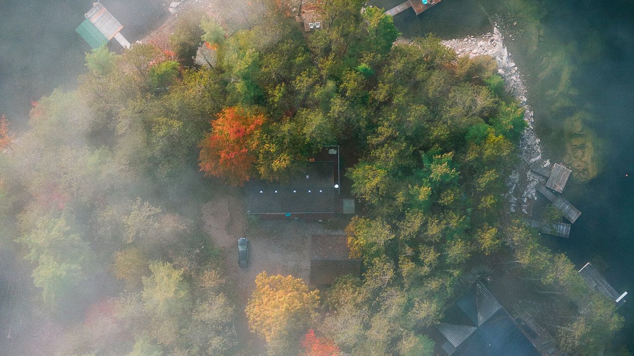 Wallpaper island, trees, fog, aerial view
