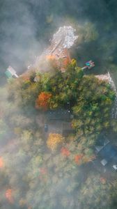 Preview wallpaper island, trees, fog, aerial view