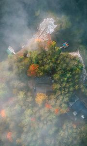 Preview wallpaper island, trees, fog, aerial view