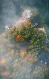 Preview wallpaper island, trees, fog, aerial view