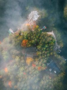 Preview wallpaper island, trees, fog, aerial view