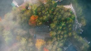 Preview wallpaper island, trees, fog, aerial view
