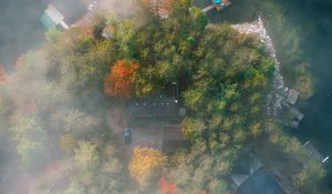 Preview wallpaper island, trees, fog, aerial view