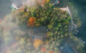 Preview wallpaper island, trees, fog, aerial view