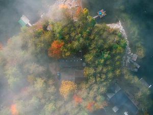 Preview wallpaper island, trees, fog, aerial view