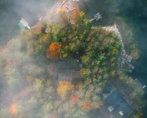 Preview wallpaper island, trees, fog, aerial view