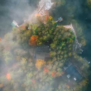 Preview wallpaper island, trees, fog, aerial view