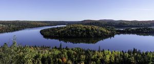Preview wallpaper island, trees, forest, lake, reflection
