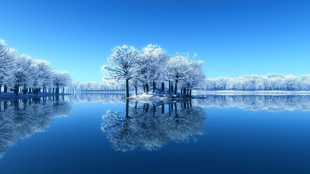 Wallpaper island, trees, frost, lake, frozen, cleanliness, surface