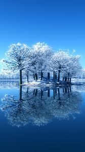 Preview wallpaper island, trees, frost, lake, frozen, cleanliness, surface
