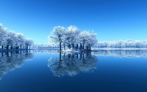 Preview wallpaper island, trees, frost, lake, frozen, cleanliness, surface