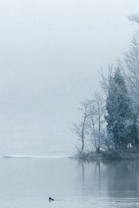 Preview wallpaper island, trees, hoarfrost, fog, morning, haze