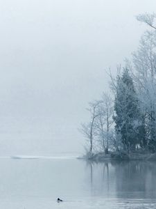 Preview wallpaper island, trees, hoarfrost, fog, morning, haze