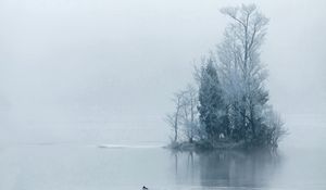 Preview wallpaper island, trees, hoarfrost, fog, morning, haze