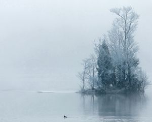 Preview wallpaper island, trees, hoarfrost, fog, morning, haze