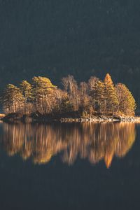 Preview wallpaper island, trees, lake, water, nature