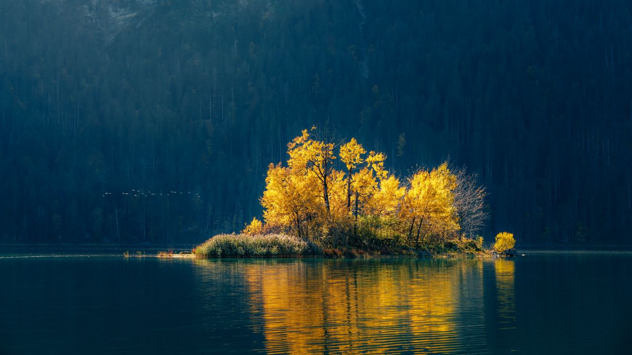 Wallpaper island, trees, lake, forest, nature