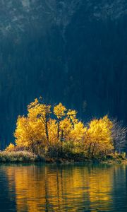 Preview wallpaper island, trees, lake, forest, nature