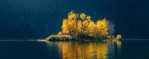 Preview wallpaper island, trees, lake, forest, nature