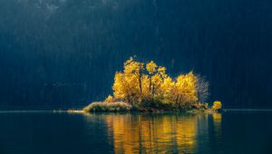 Preview wallpaper island, trees, lake, forest, nature