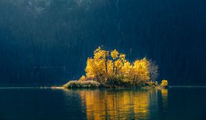 Preview wallpaper island, trees, lake, forest, nature