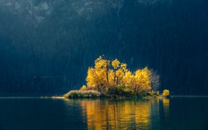 Preview wallpaper island, trees, lake, forest, nature