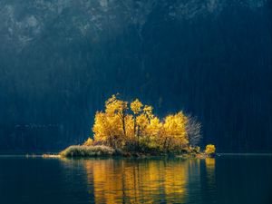 Preview wallpaper island, trees, lake, forest, nature