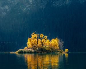 Preview wallpaper island, trees, lake, forest, nature