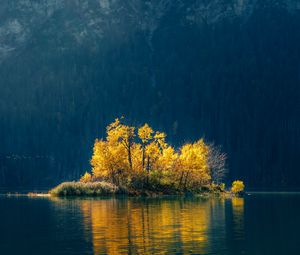 Preview wallpaper island, trees, lake, forest, nature