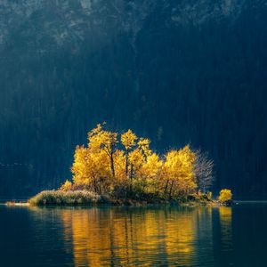 Preview wallpaper island, trees, lake, forest, nature