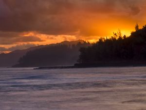 Preview wallpaper island, trees, sea, sun, nature