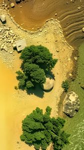 Preview wallpaper island, trees, sea, aerial view, stones