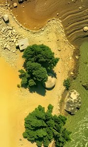 Preview wallpaper island, trees, sea, aerial view, stones