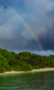 Preview wallpaper island, trees, sea, ocean, rainbow